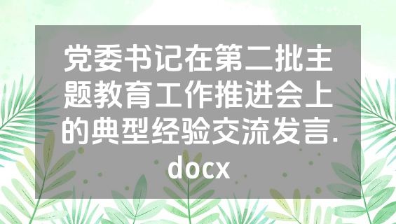 党委书记在第二批主题教育工作推进会上的典型经验交流发言.docx