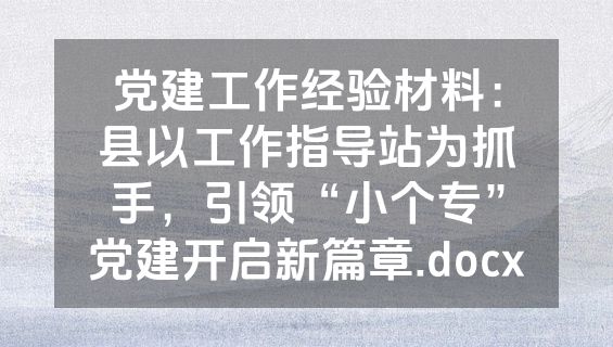 党建工作经验材料：县以工作指导站为抓手，引领“小个专”党建开启新篇章.docx