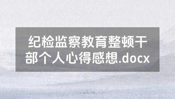 纪检监察教育整顿干部个人心得感想.docx