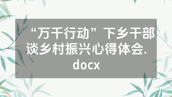 “万千行动”下乡干部谈乡村振兴心得体会.docx