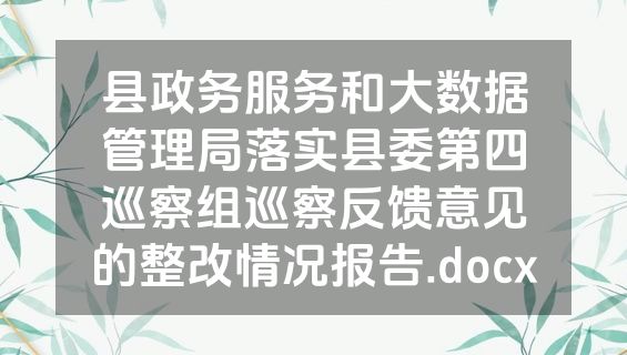 县政务服务和大数据管理局落实县委第四巡察组巡察反馈意见的整改情况报告.docx