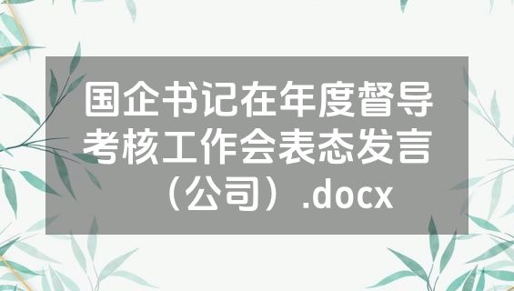 国企书记在年度督导考核工作会表态发言（公司）.docx
