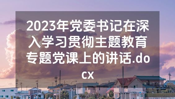 2023年党委书记在深入学习贯彻主题教育专题党课上的讲话.docx