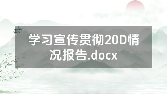 学习宣传贯彻20D情况报告.docx