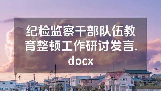 纪检监察干部队伍教育整顿工作研讨发言.docx