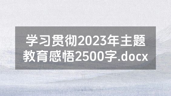 学习贯彻2023年主题教育感悟2500字.docx