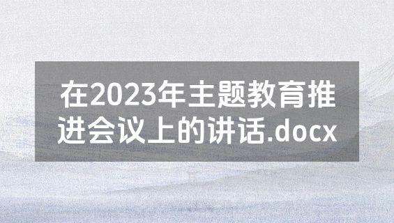 在2023年主题教育推进会议上的讲话.docx