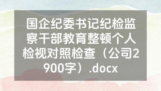 国企纪委书记纪检监察干部教育整顿个人检视对照检查（公司2900字）.docx