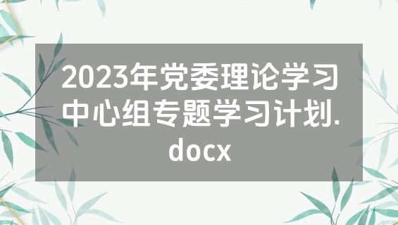 2023年党委理论学习中心组专题学习计划.docx