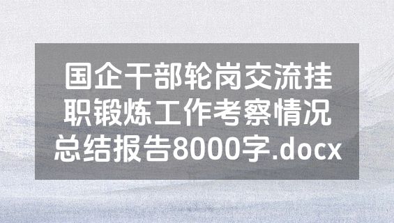 国企干部轮岗交流挂职锻炼工作考察情况总结报告8000字.docx