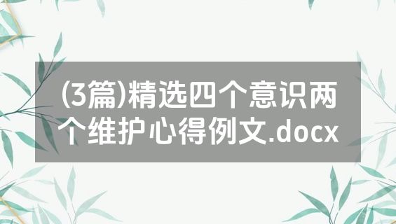 (3篇)精选四个意识两个维护心得例文.docx