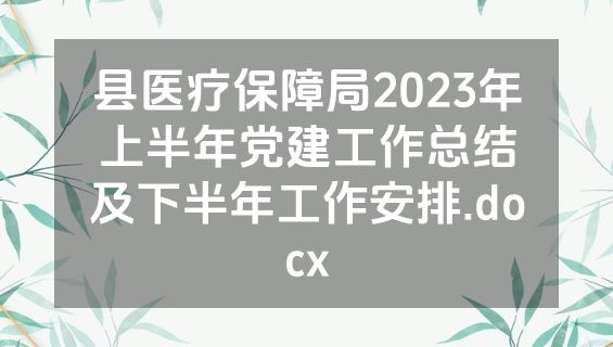县医疗保障局2023年上半年党建工作总结及下半年工作安排.docx