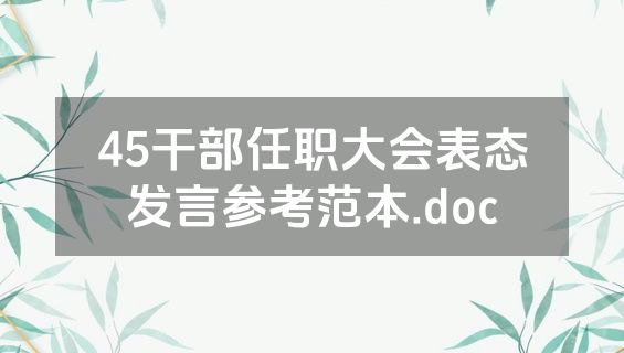 45干部任职大会表态发言参考范本.doc