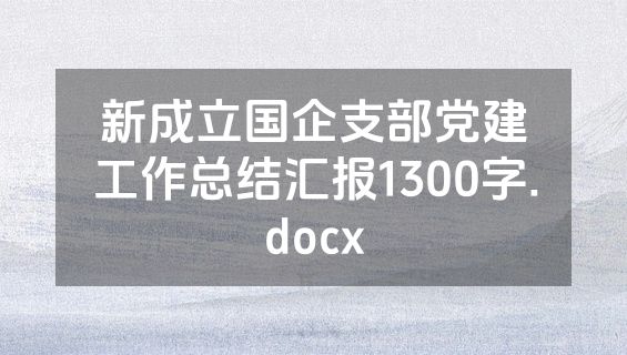 新成立国企支部党建工作总结汇报1300字.docx