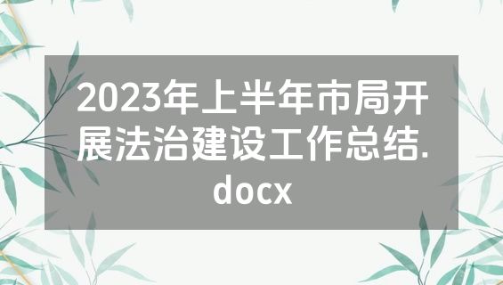 2023年上半年市局开展法治建设工作总结.docx
