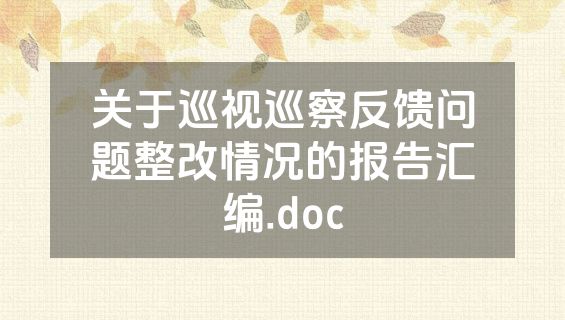关于巡视巡察反馈问题整改情况的报告汇编.doc