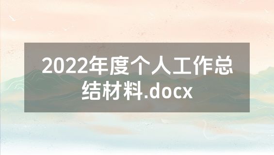 2022年度个人工作总结材料.docx