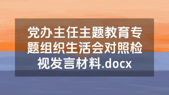 党办主任主题教育专题组织生活会对照检视发言材料.docx