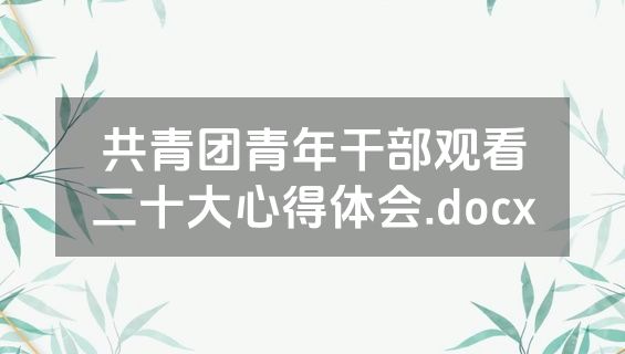 共青团青年干部观看二十大心得体会.docx