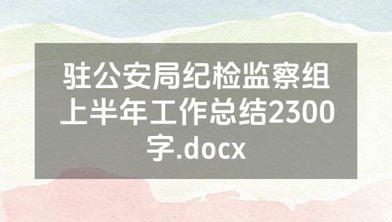 驻公安局纪检监察组上半年工作总结2300字.docx