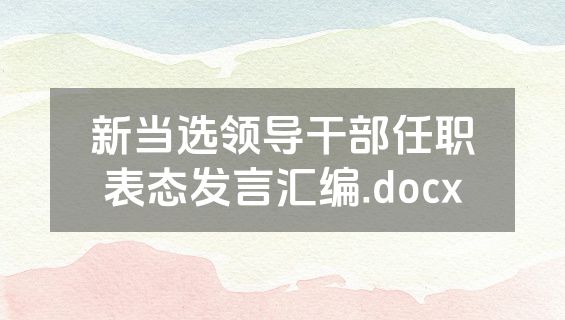 新当选领导干部任职表态发言汇编.docx
