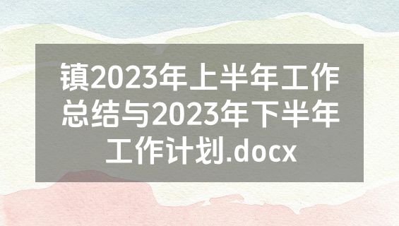 镇2023年上半年工作总结与2023年下半年工作计划.docx