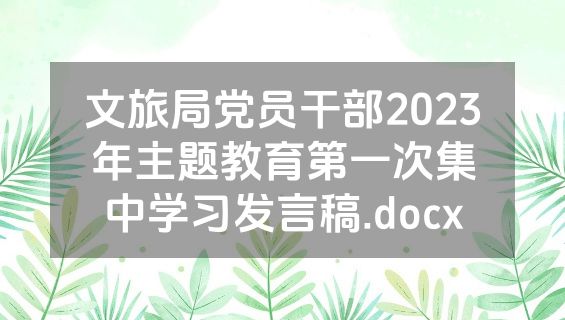 文旅局党员干部2023年主题教育第一次集中学习发言稿.docx
