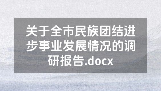 关于全市民族团结进步事业发展情况的调研报告.docx