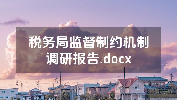 税务局监督制约机制调研报告.docx