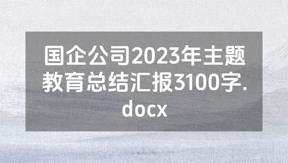 国企公司2023年主题教育总结汇报3100字.docx