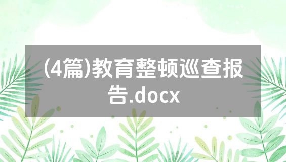 (4篇)教育整顿巡查报告.docx