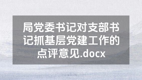 局党委书记对支部书记抓基层党建工作的点评意见.docx