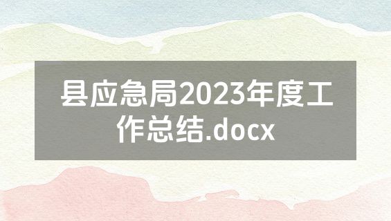 县应急局2023年度工作总结.docx
