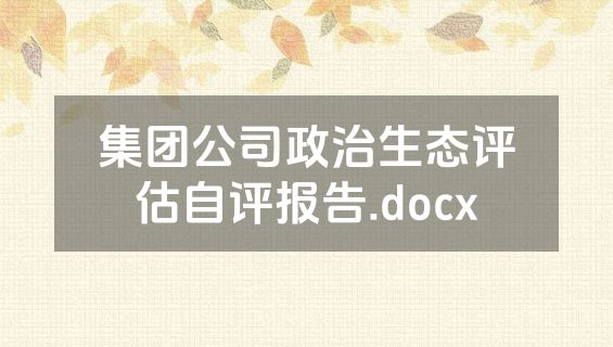 集团公司政治生态评估自评报告.docx