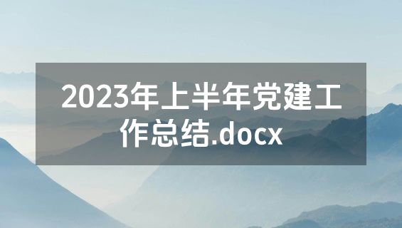 2023年上半年党建工作总结.docx
