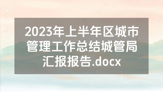 2023年上半年区城市管理工作总结城管局汇报报告.docx