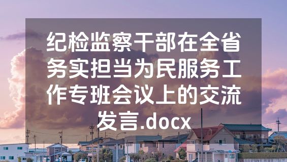 纪检监察干部在全省务实担当为民服务工作专班会议上的交流发言.docx