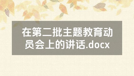 在第二批主题教育动员会上的讲话.docx