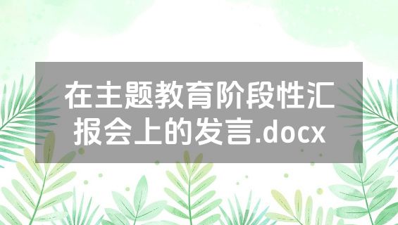 在主题教育阶段性汇报会上的发言.docx