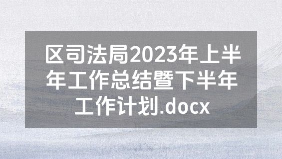 区司法局2023年上半年工作总结暨下半年工作计划.docx