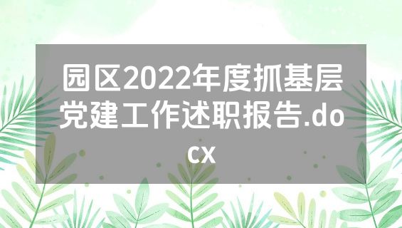 园区2022年度抓基层党建工作述职报告.docx