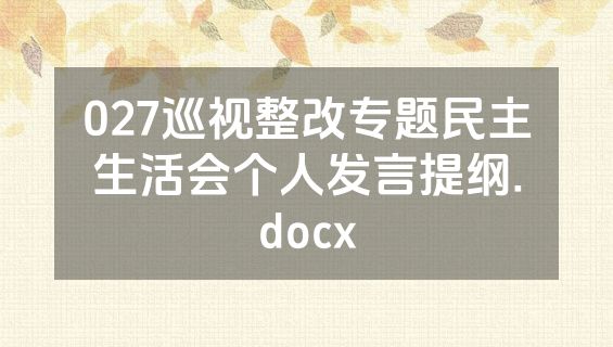 027巡视整改专题民主生活会个人发言提纲.docx