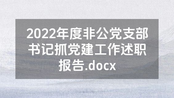 2022年度非公党支部书记抓党建工作述职报告.docx