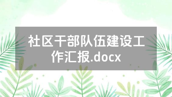 社区干部队伍建设工作汇报.docx