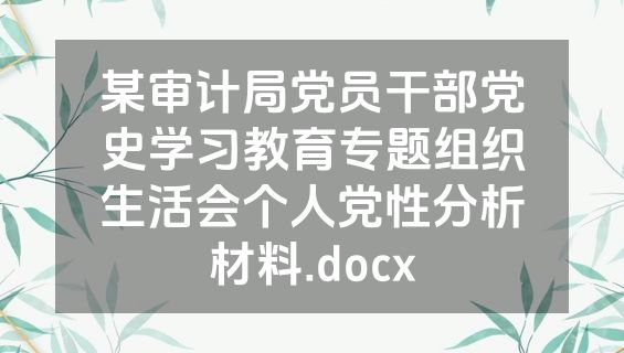 某审计局党员干部党史学习教育专题组织生活会个人党性分析材料.docx