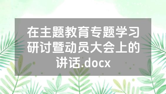 在主题教育专题学习研讨暨动员大会上的讲话.docx