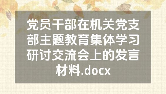 党员干部在机关党支部主题教育集体学习研讨交流会上的发言材料.docx