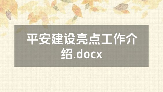 平安建设亮点工作介绍.docx