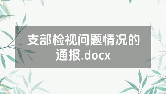 支部检视问题情况的通报.docx