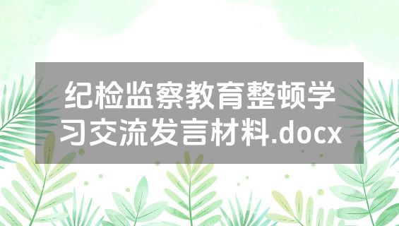 纪检监察教育整顿学习交流发言材料.docx